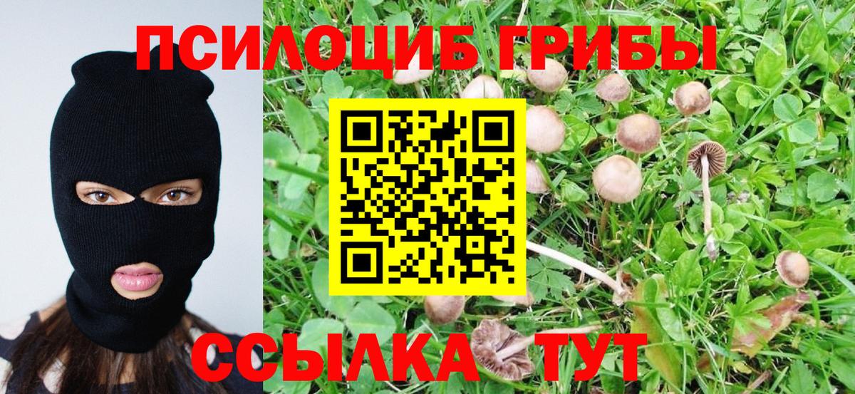 Псилоцибиновые грибы GOLDEN TEACHER  цены наркотик  Качканар  Вход с VPN 
