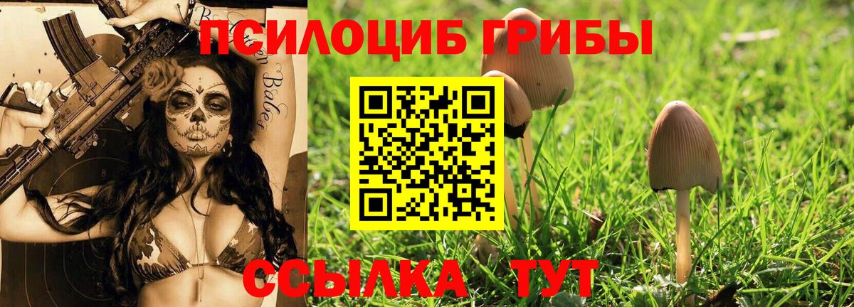 Галлюциногенные грибы Psilocybine cubensis Качканар
